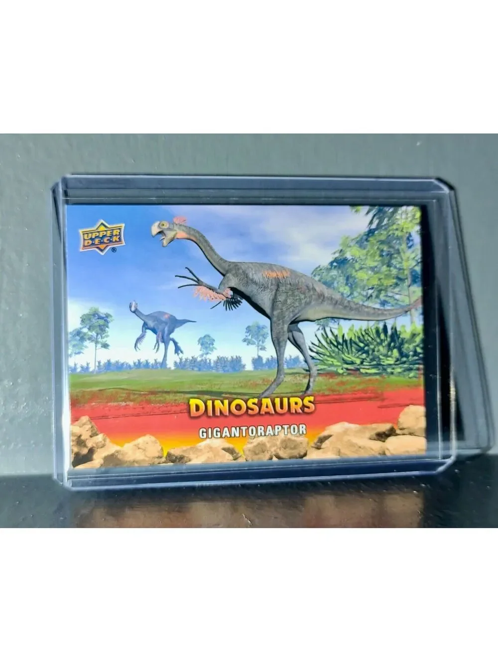 2015 Upper Deck Dinosaurs Gigantoraptor Extinction Red Parallel #24 Card